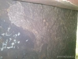 420428_CAM01020.jpg