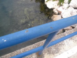 Biograd - Widok z Mostu.JPG