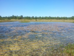20130828_115845.jpg