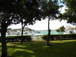 DSCN9696.JPG