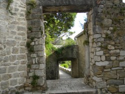 DSCN9698.JPG