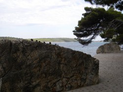 DSCN9704.JPG