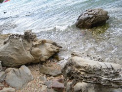 DSCN9705.JPG