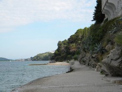 DSCN9711.JPG