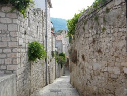 DSCN9712.JPG