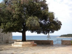 DSCN9713.JPG