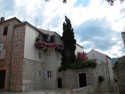 DSCN9714.JPG