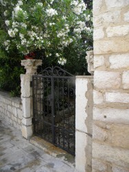DSCN9718.JPG