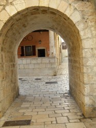 DSCN9729.JPG