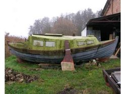 5    pomeranka720.jpeg