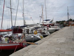 DSCN9780.JPG