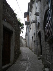 DSCN9784.JPG