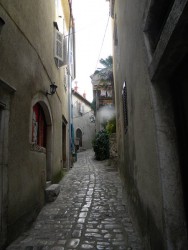 DSCN9785.JPG