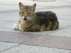DSCN9786.JPG