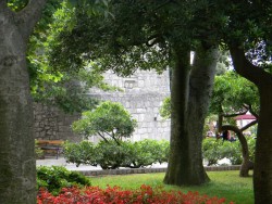 DSCN9806.JPG