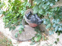 DSCN9841.JPG