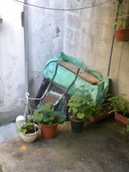 DSCN9861.JPG