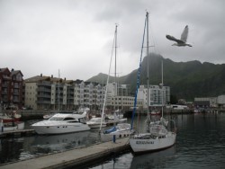 svolvaer1.JPG