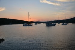 DSC_2501.JPG