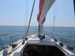 IMG_3816a.jpg