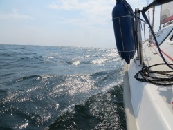 IMG_3918a.jpg