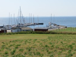 IMG_3962a.jpg