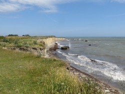 IMG_4004a.jpg