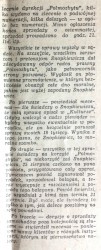 Szpalta-4.jpg