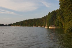 P0002142.JPG