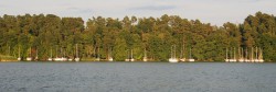 P0002124_cr.jpg