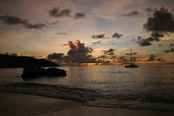 IMG_5467.jpg