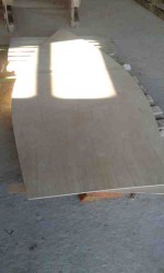 20140817_081150.jpg
