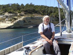 whitewhale01.jpg