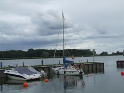 wolin1.jpg