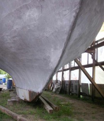 PICT8661a.jpg