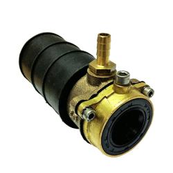 vetus.png