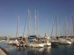 Polonus w Las Palmas.jpg