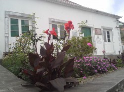 muzeum.jpg
