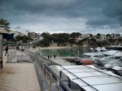 6389.jpg