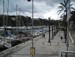 6390.jpg