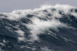 DSC_0233.JPG
