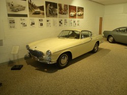 APDC0817.JPG