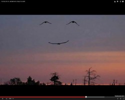smile;).jpg
