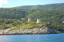 DSC_5565m.JPG