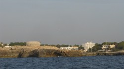 kajetoje.JPG