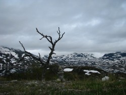 IMG_2055.JPG