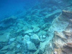 IMG_3770.jpg