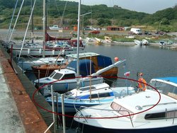 mikro w hammerhavn.JPG