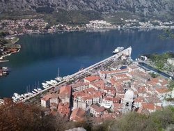 Kotor Marina Czarnogóra.jpg