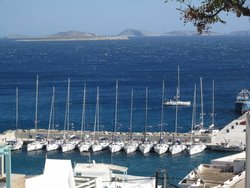 IMG_0049.jpg